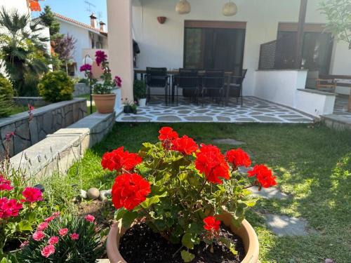 Skala Fourkas Apartment | Alara’s house