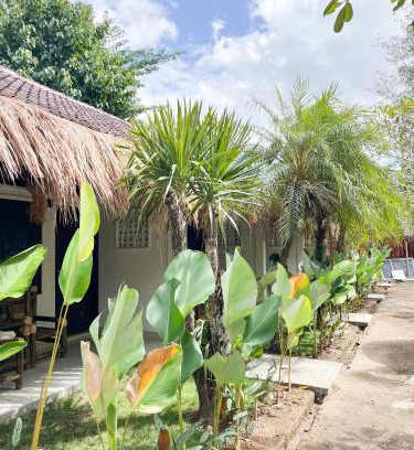Kuta Bed & Breakfast | Alfa Kuta