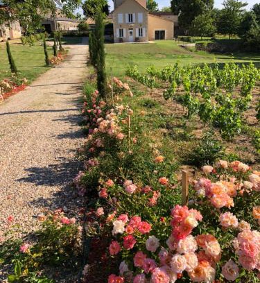 Saint-Philippe-dAiguille House | Allée des Roses