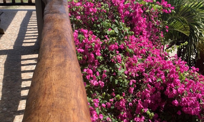 Hopkins Hotel | All Seasons Belize