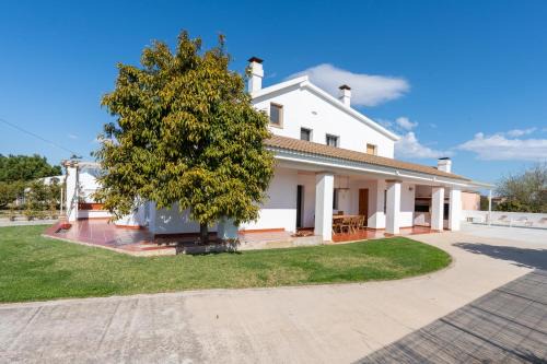 Deltebre House | Allotjament lo Ribé