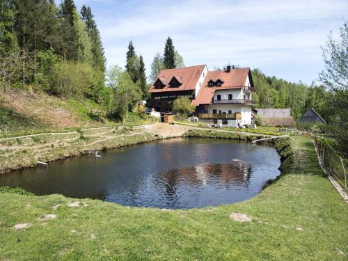 Schoensee Apartment | Alluring Apartment in Schönsee in the forest