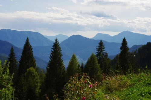 Palu del Fersina Ski Chalet | Alpenchalet Waldl - la Lepre