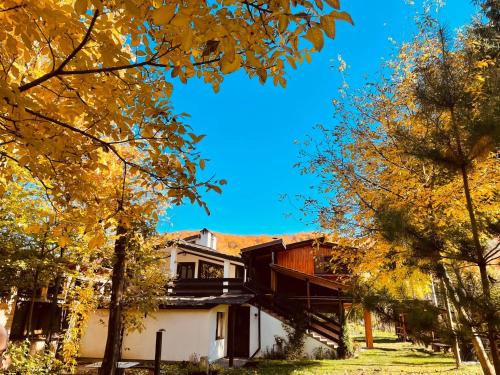 Recea House | Alpinlife
