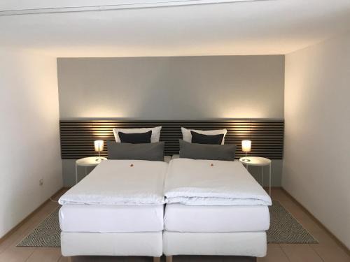 Engen Apartment | Altstadt Apartment Altes Amtshaus