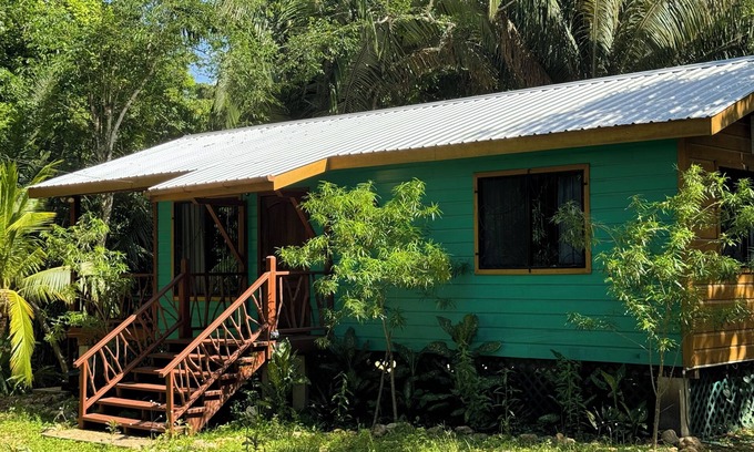 Bullet Tree Falls House | Amazing Jungle Retreat Close to San Ignacio