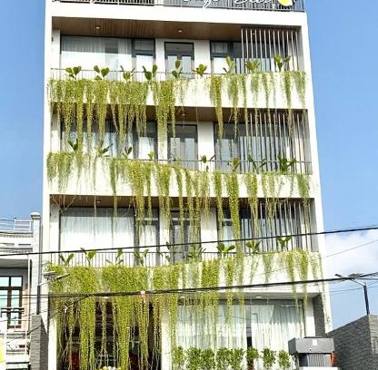 My Phuoc Hotel | Amely Hotel