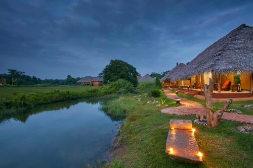 Dambulla Cabin | Amuna Ayurveda and Wellness Retreat