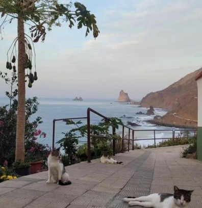 Santa Cruz de Tenerife House | Anaga Manolo Natural Beach House