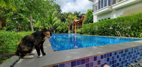 Ong Lang House | AnAn Boutique Bungalows with Private Kitchen