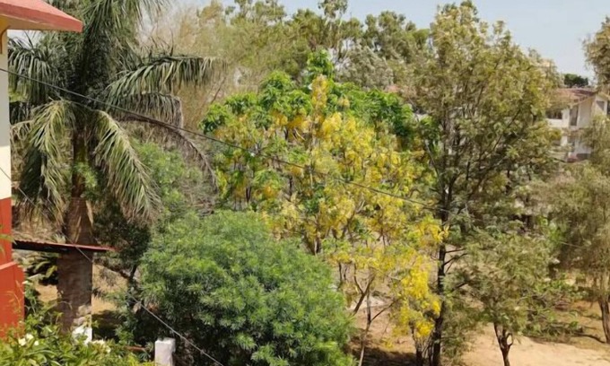 Abu Road Hotel | Anandmai Heritage Villa Mount Abu