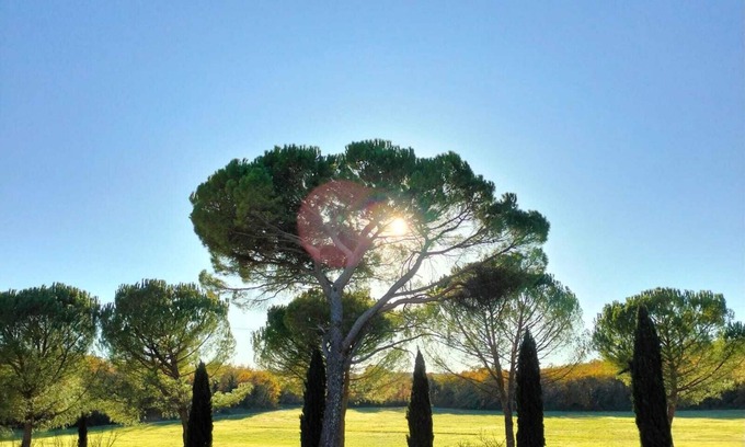 Colle di Val d'Elsa House | Ancient village : History and Nature in the silence of the countryside.