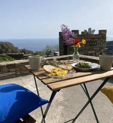 Andros Town Apartment | Andros Vineyard house with sea view