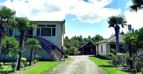 Anaklia House | Ani's Green House