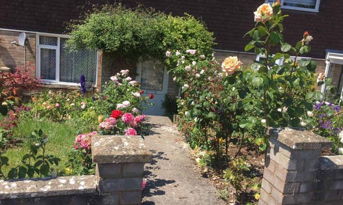 Amesbury House | Annie’s House in Amesbury