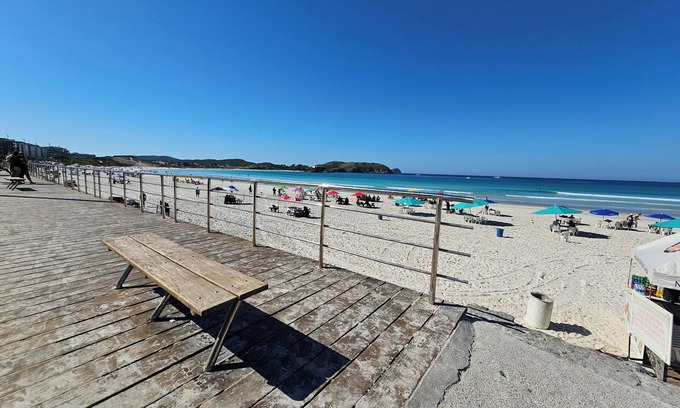 Centro Apartment | AP encantador na Praia do Forte! (208)