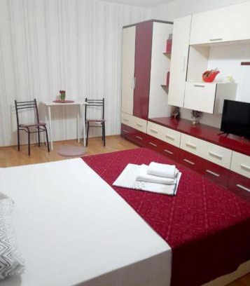 Tirgu Ocna Apartment | Apartament Alex