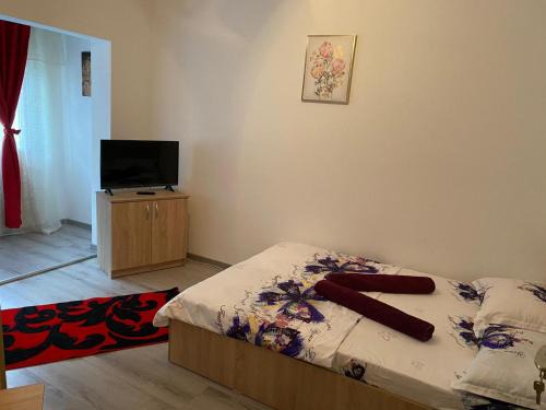Baile Herculane Apartment | Apartament Costescu