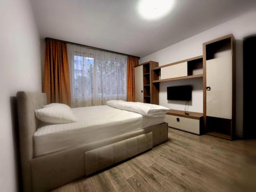 Baia Mare Apartment | Apartament cu 1 camera ultracentral