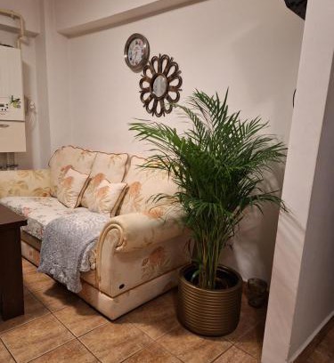 Ramnicu Valcea Apartment | Apartament Florina