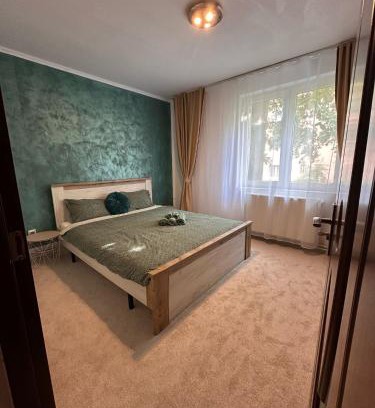 Petrosani Apartment | Apartament Iasmina
