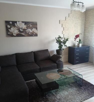 Zamosc Apartment | apartament Kalia