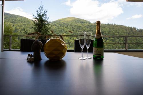 Sinaia Apartment | Apartament Maza