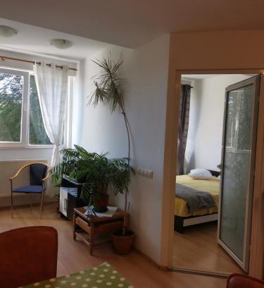 Poiana Brasov Apartment | Apartament Montan