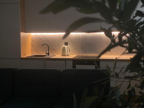 Glogow Apartment | Apartament na Śniadeckich