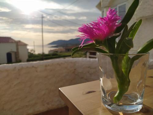 Port de la Selva Apartment | Apartament Port de la Selva