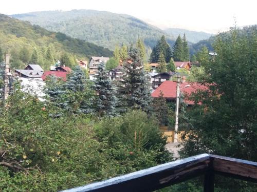 Busteni Apartment | Apartament Potecuta Ursului