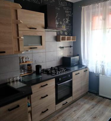 Przemysl Apartment | Apartament Przemyślany