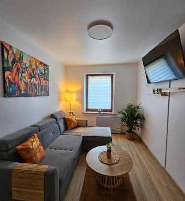 Gliwice Apartment | Apartament Radiostacja IX, parking free