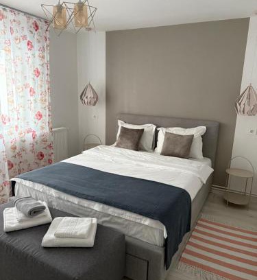Petrosani Apartment | Apartament Sofi