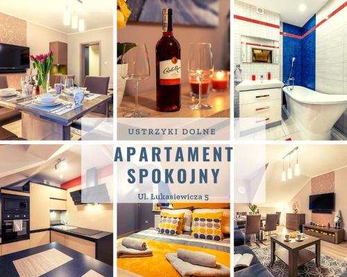 Ustrzyki Dolne Apartment | Apartament Spokojny