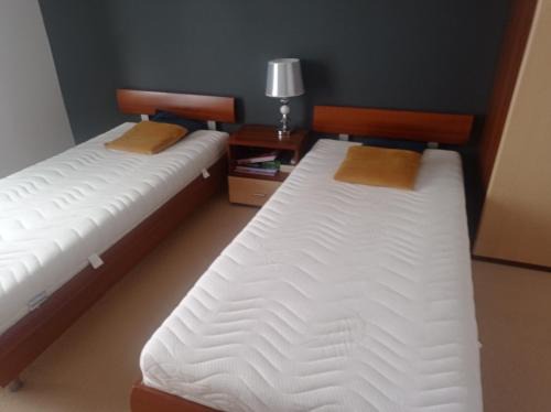 Krynica-Zdroj Apartment | Apartament Tadeusz 2 C