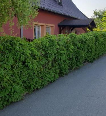 Jezow Sudecki Apartment | Apartament u Janiny