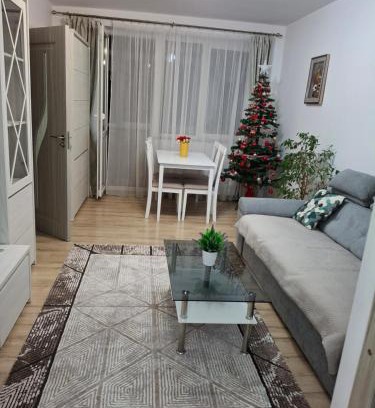 Gura Humorului Apartment | Apartament Ultra Central Marly Gura Humorului