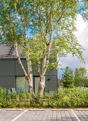 Dzwirzyno Villa | Apartament w willi z ogrodem SurfingBird Dźwirzyno