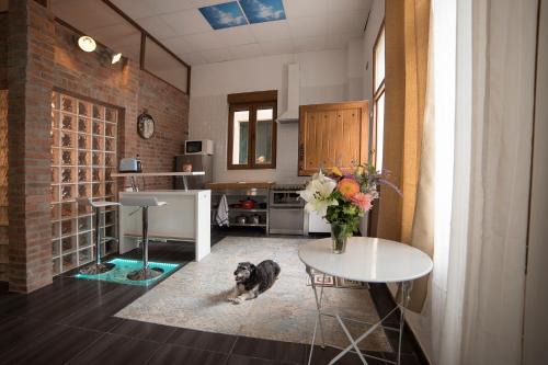 Cimadevilla Apartment | Apartamento de lujo en Gijòn