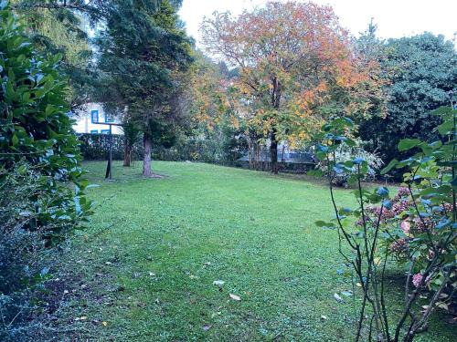 Ibarranguelua Apartment | Apartamento Lagabide