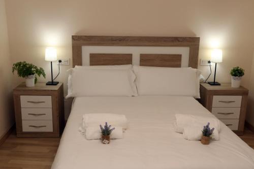 Arrabal Apartment | Apartamento turisticos Puente Romano P3 2-B