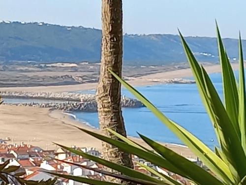 Nazare Apartment | Apartamentos Bela Vista