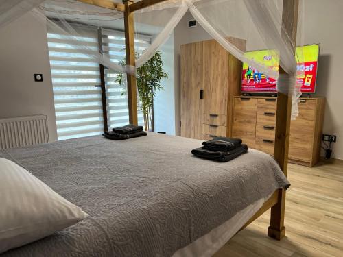 Kudowa Zdroj Apartment | APARTAMENTY Kudowa Zdrój - Słone