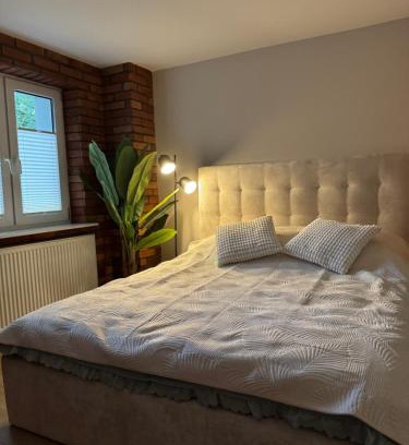 Elblag Apartment | Apartamenty przy parku
