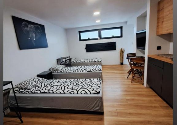 Plock Apartment | Apartamet typu studio ELEPHANT dla 4 osób