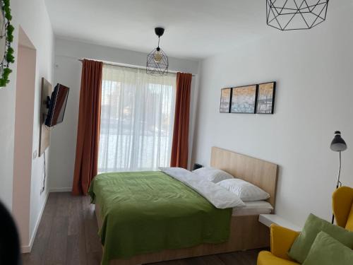 Baia Mare Apartment | Apartcentral