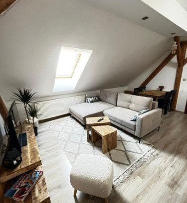 Ostrava Apartment | Apartmán Anežka, u Ostravar Arény