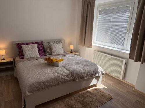 Jicin Apartment | Apartmán Danimo