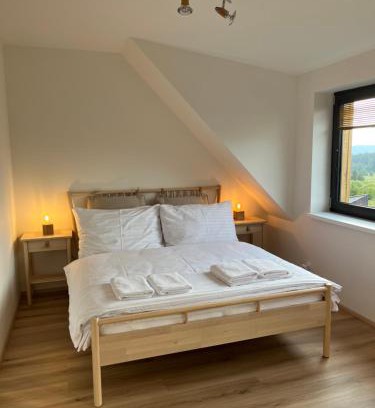 Abertamy Apartment | Apartmán Plešivec ALL4FUN u sjezdovky